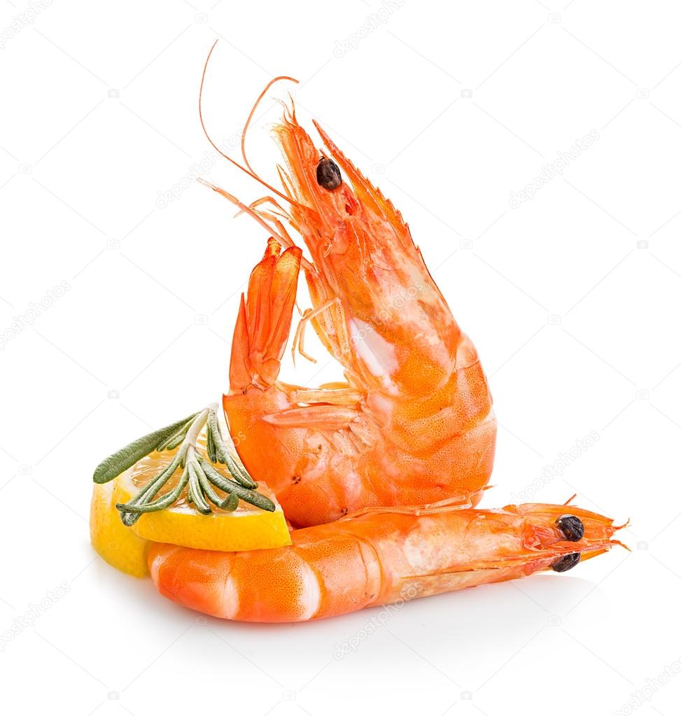 Tiger shrimps with lemon slice and rosemary. Prawns with lemon slice and rosemary isolated on a white background. Seafood
