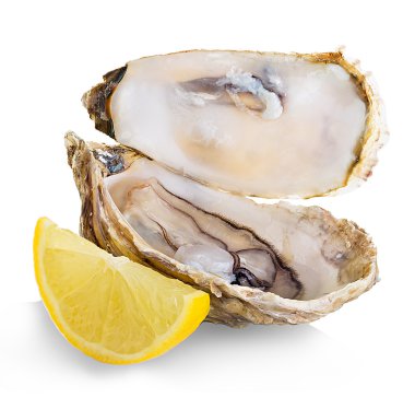 Beyaz arka planda yalıtılmış istiridyeler