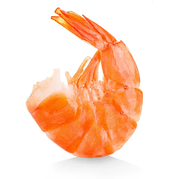 Tiger shrimp. Prawn isolated on a white background. Seafood — Stock Photo, Image