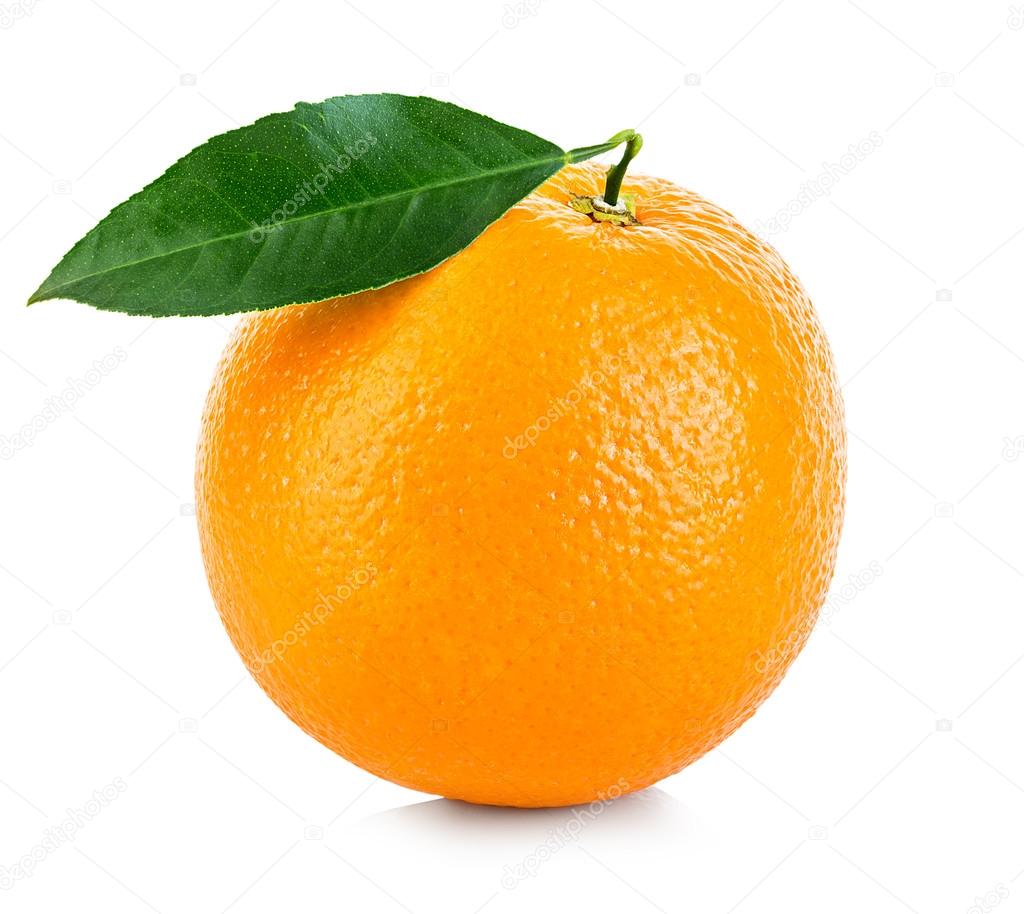 White sheet of paper on a orange background Vector Image