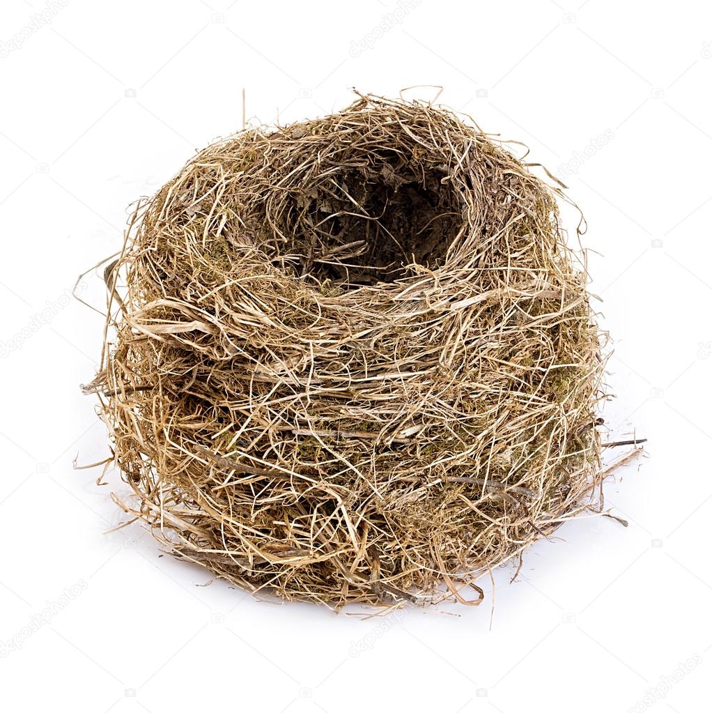 Original empty bird's nest close-up isolated on a white background.