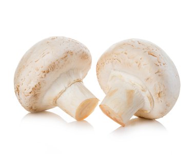 Beyaz bir arka plan üzerinde izole champignon mantar yakın çekim.