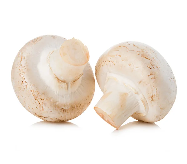 Cogumelos Champignon close-up isolado em um fundo branco . — Fotografia de Stock