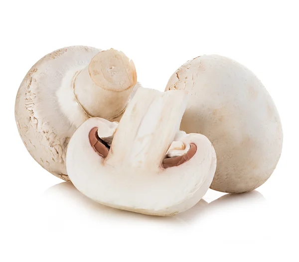 Cogumelos Champignon close-up isolado em um fundo branco . — Fotografia de Stock