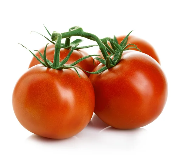Frische reife rote Tomaten isoliert auf weißem Hintergrund. — Stockfoto