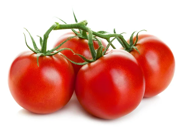 Tomates rojos maduros frescos aislados sobre fondo blanco. —  Fotos de Stock
