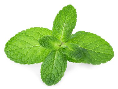 Beyaz arkaplanda izole edilmiş taze nane yaprakları.