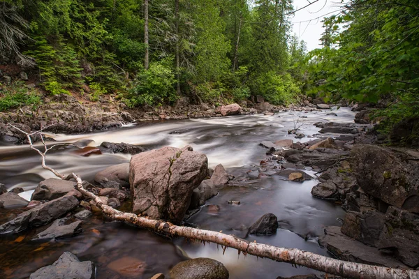 Cascade floden med fallna trädgren — Stockfoto