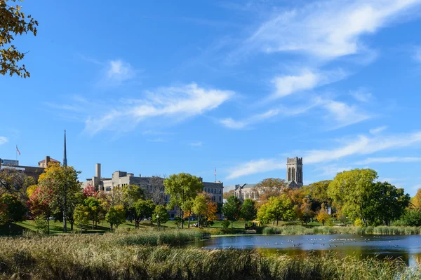 Loring Park in Autumn 5 — Stock Photo, Image