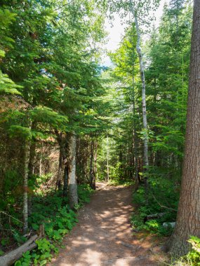 Hiking Trail Tettegouche State Park Minnesota 1