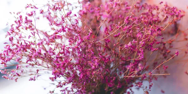 Картина Бутіка Фіолетова Суха Квітка Вазі Прикраси Будинку — стокове фото
