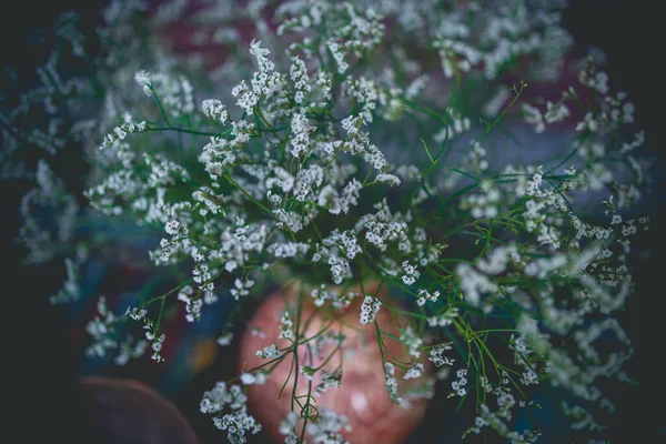 Εικόνα Της Μπουτίκ Λευκό Αποξηραμένο Λουλούδι Στο Βάζο Για Διακόσμηση — Φωτογραφία Αρχείου