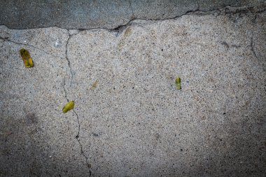 grunge dokulu backgrou