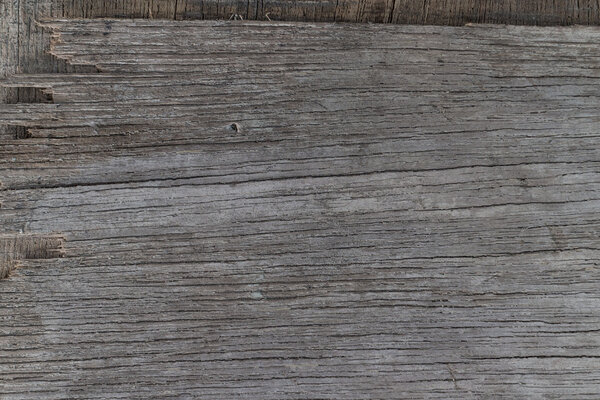 wood surface texture