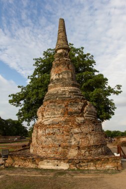 Ağacın arkasına pagoda