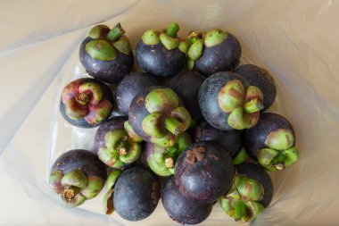 Mangosteen çanta içinde