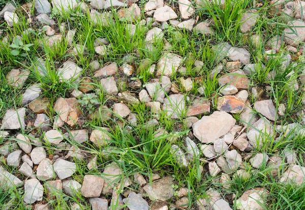 石と地面の草. — ストック写真