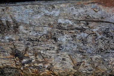 Tahta doku, yakın çekim, kırsal duvar kağıdı.