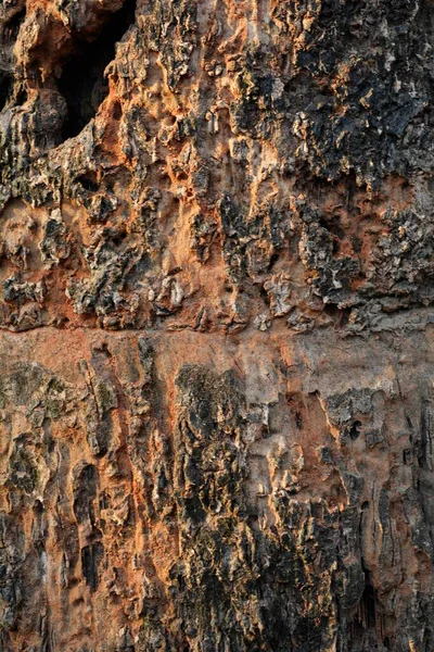 Tahta Doku Yakın Çekim Kırsal Duvar Kağıdı — Stok fotoğraf