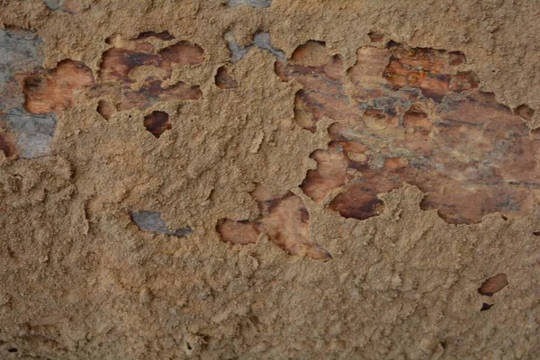 Drewniana Faktura Zbliżenie Strzał Rustykalne Tapety — Zdjęcie stockowe