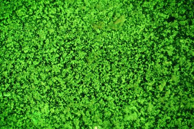 Yeşil desenli grungy arkaplan