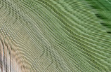 Kopya alanı ile arkaplan için renkli gradyan, geometrik desen 