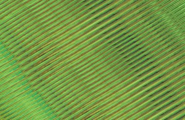 Kopya alanı ile arkaplan için renkli gradyan, geometrik desen 