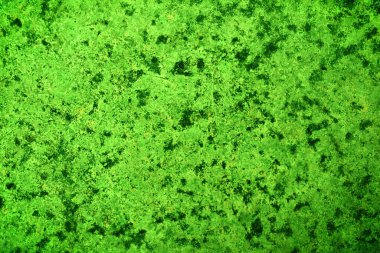 Yeşil desenli grungy arkaplan