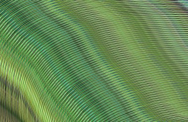 Kopya alanı ile arkaplan için renkli gradyan, geometrik desen 