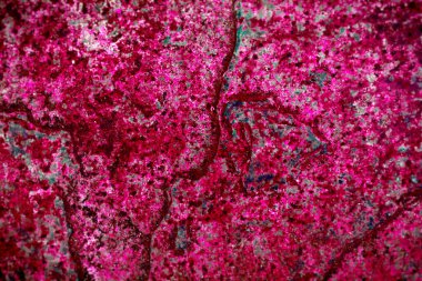 Pembe ve Kırmızı Metal Doku Yüzey Arkaplanı