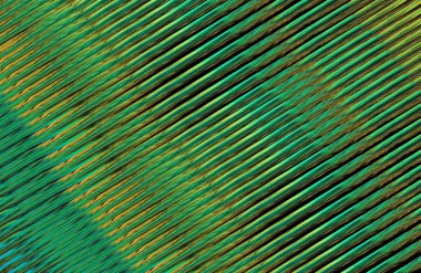 Kopya alanı ile arkaplan için renkli gradyan, geometrik desen 