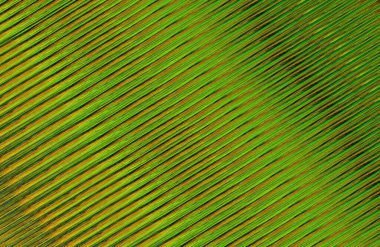 Arkaplan için renkli gradyan, geometrik desen