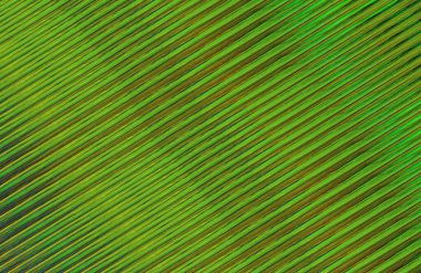 Arkaplan için renkli gradyan, geometrik desen