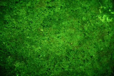 Yeşil desenli grungy arkaplan