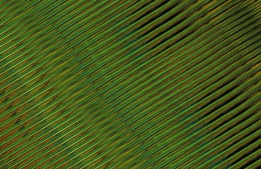 Kopya alanı ile arkaplan için renkli gradyan, geometrik desen 