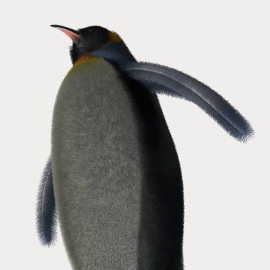 Çizgi film pengueninin 3D görüntüsü