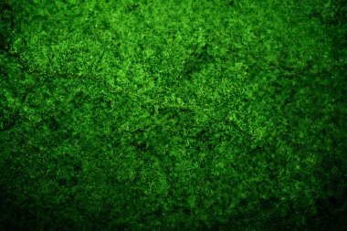 Yeşil desenli grungy arkaplan