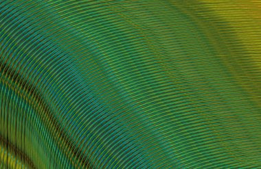 Arkaplan için renkli gradyan, geometrik desen