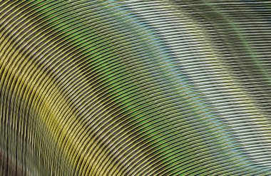 Kopya alanı ile arkaplan için renkli gradyan, geometrik desen 