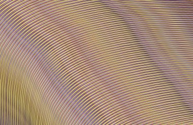 Kopya alanı ile arkaplan için renkli gradyan, geometrik desen 