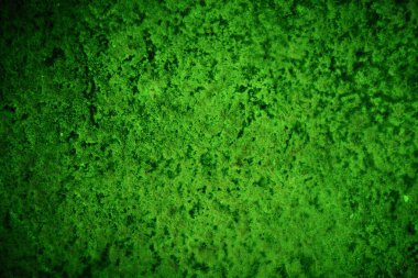 Yeşil desenli grungy arkaplan