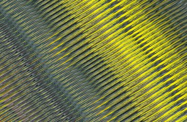 Kopya alanı ile arkaplan için renkli gradyan, geometrik desen 