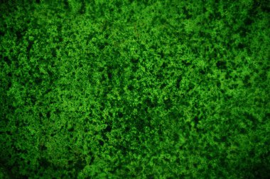 Yeşil desenli grungy arkaplan