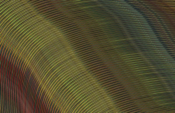 Kopya alanı ile arkaplan için renkli gradyan, geometrik desen 