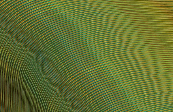 Kopya alanı ile arkaplan için renkli gradyan, geometrik desen 