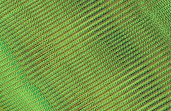 Kopya alanı ile arkaplan için renkli gradyan, geometrik desen 