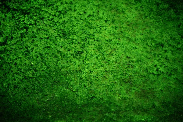 Yeşil desenli grungy arkaplan