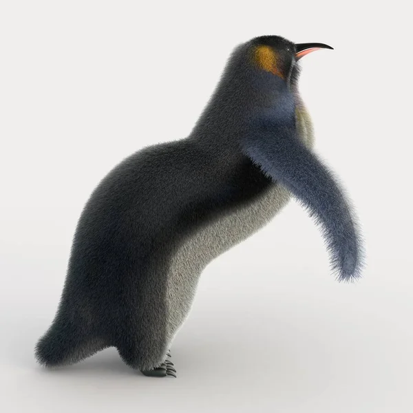 Rendu Pingouin Dessin Animé — Photo