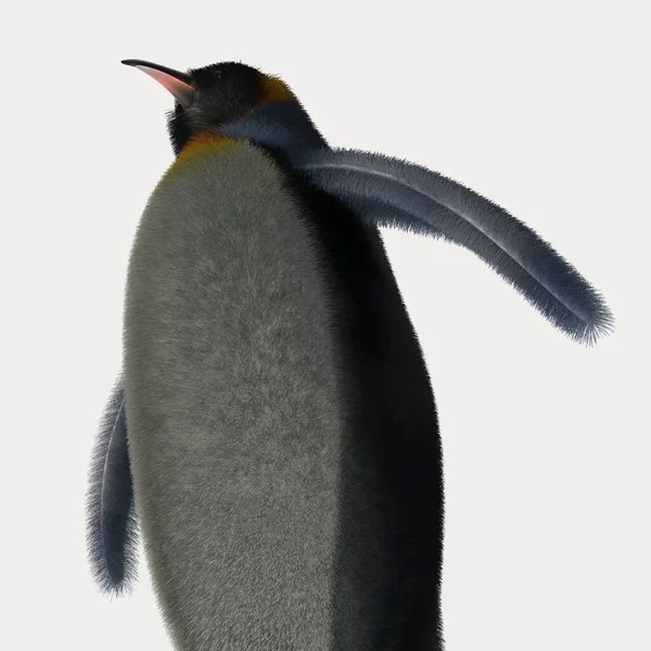 Çizgi film pengueninin 3D görüntüsü