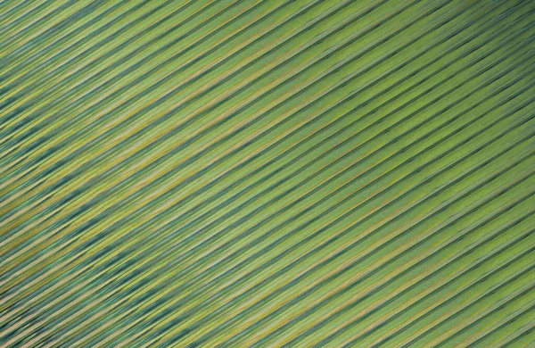 Arkaplan için renkli gradyan, geometrik desen